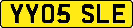 YY05SLE