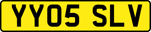 YY05SLV