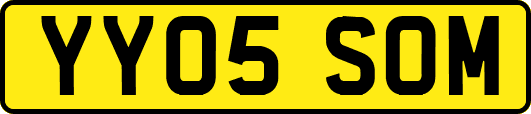 YY05SOM