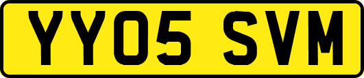 YY05SVM