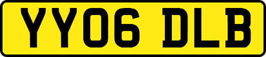 YY06DLB