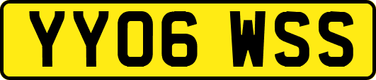 YY06WSS