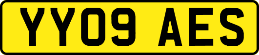 YY09AES