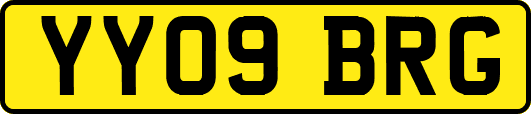 YY09BRG