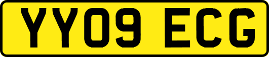 YY09ECG