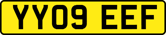 YY09EEF