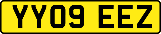 YY09EEZ