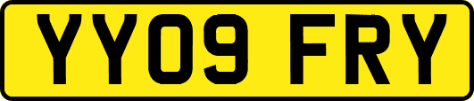 YY09FRY