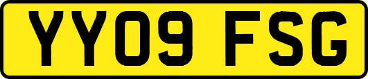 YY09FSG