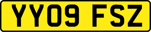 YY09FSZ