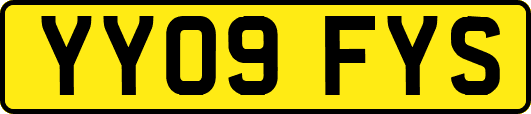 YY09FYS