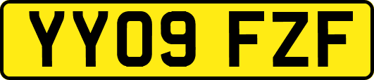 YY09FZF