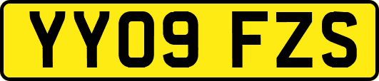 YY09FZS