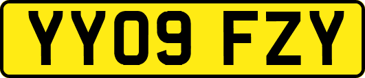 YY09FZY