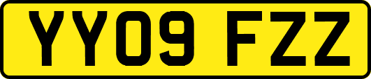 YY09FZZ