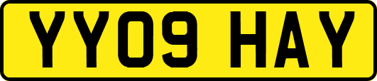 YY09HAY