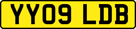 YY09LDB