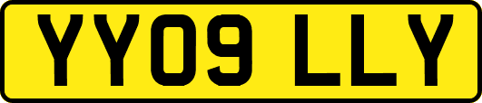YY09LLY