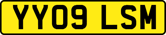 YY09LSM
