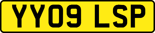 YY09LSP