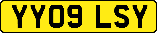 YY09LSY