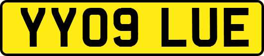 YY09LUE