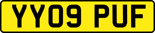 YY09PUF