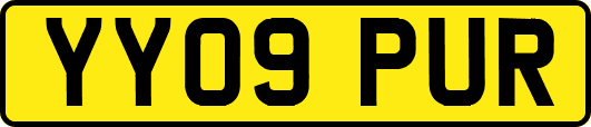 YY09PUR