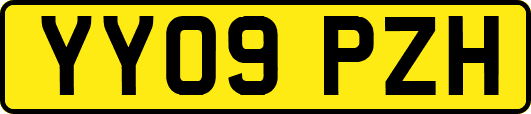 YY09PZH