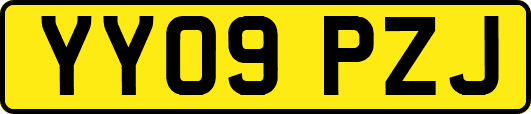 YY09PZJ