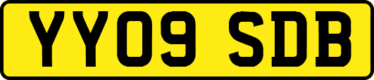 YY09SDB