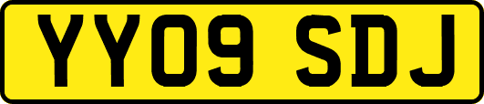YY09SDJ