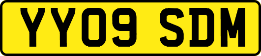 YY09SDM