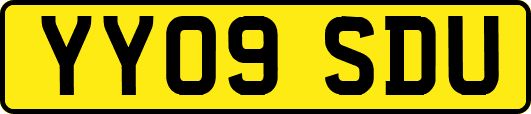 YY09SDU