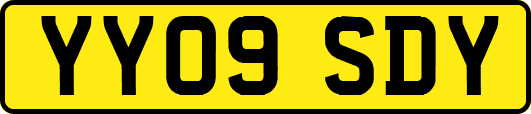YY09SDY