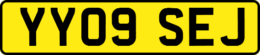 YY09SEJ