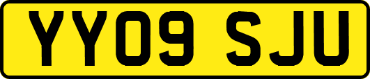 YY09SJU