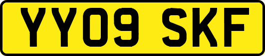 YY09SKF