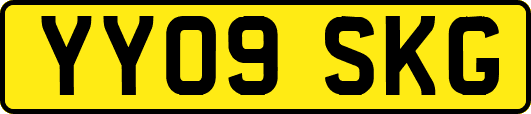 YY09SKG