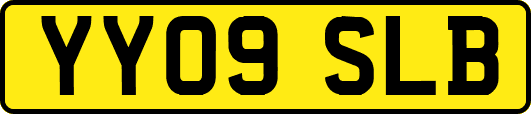 YY09SLB