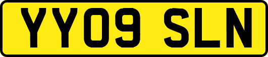 YY09SLN