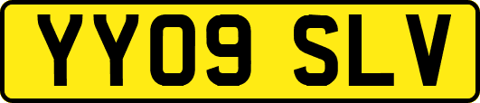 YY09SLV