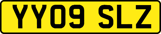YY09SLZ