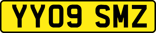 YY09SMZ