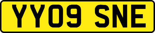 YY09SNE