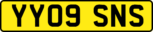 YY09SNS