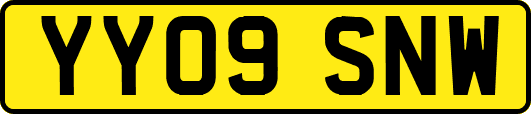 YY09SNW