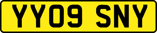 YY09SNY