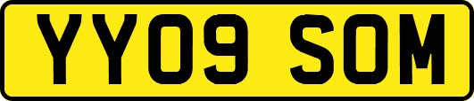YY09SOM