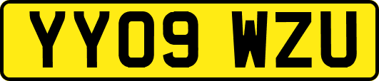 YY09WZU